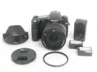 SONY ʡ DSC-RX10M3 (Vario-Sonnar T* 2.4-4 / 8.8-220)